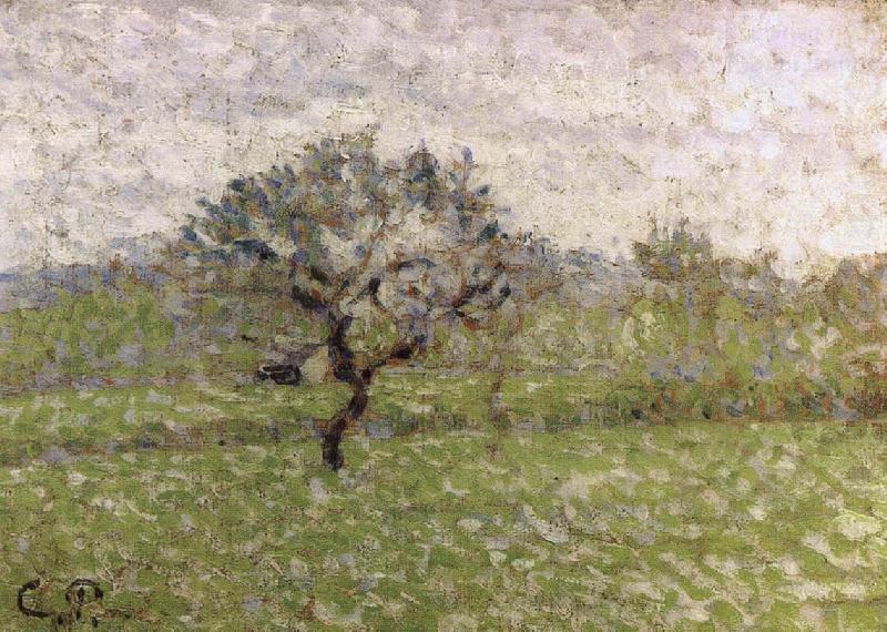 Camille Pissarro Apple oil painting picture